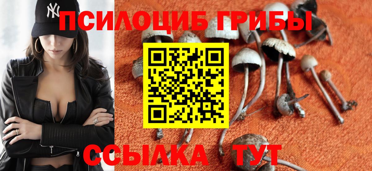 Галлюциногенные грибы мухоморы Мариинск