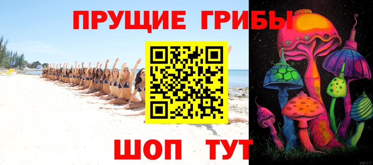 Псилоцибиновые грибы Psilocybe  Вход с VPN  Мариинск  Псилоцибиновые грибы мицелий 